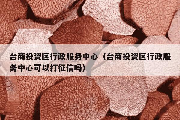 台商投资区行政服务中心（台商投资区行政服务中心可以打征信吗）