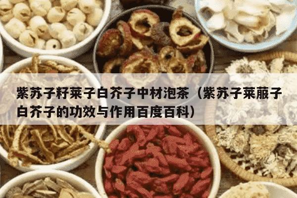 紫苏子籽莱子白芥子中材泡茶（紫苏子莱菔子白芥子的功效与作用百度百科）