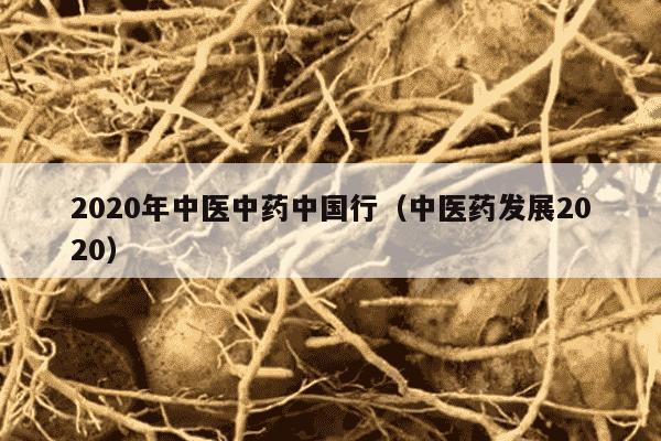 2020年中医中药中国行（中医药发展2020）