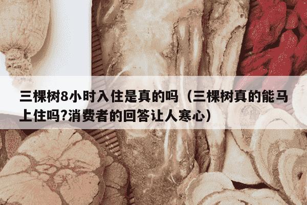 三棵树8小时入住是真的吗（三棵树真的能马上住吗?消费者的回答让人寒心）