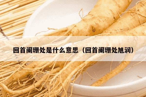 回首阑珊处是什么意思（回首阑珊处旭润）