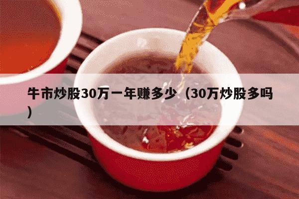 牛市炒股30万一年赚多少（30万炒股多吗）