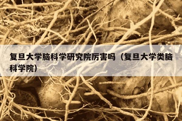 复旦大学脑科学研究院厉害吗（复旦大学类脑科学院）