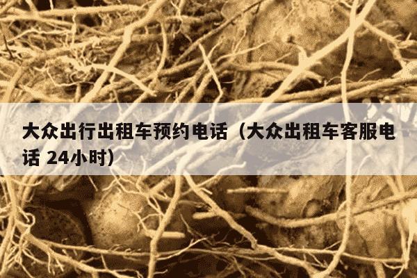 大众出行出租车预约电话（大众出租车客服电话 24小时）
