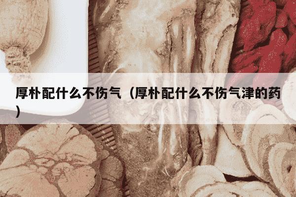 厚朴配什么不伤气（厚朴配什么不伤气津的药）
