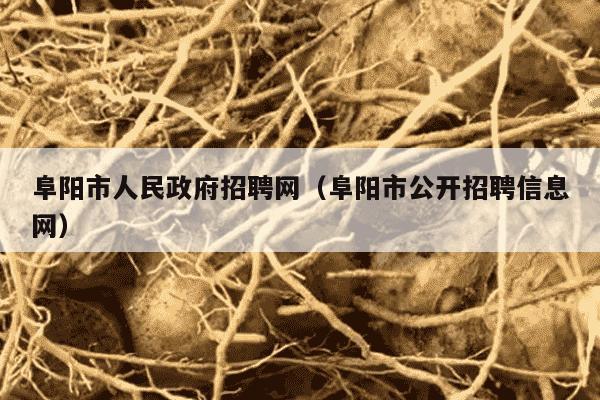 阜阳市人民政府招聘网（阜阳市公开招聘信息网）