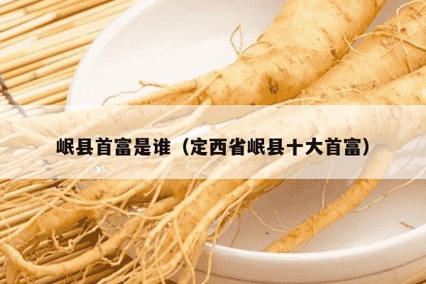 岷县首富是谁（定西省岷县十大首富）
