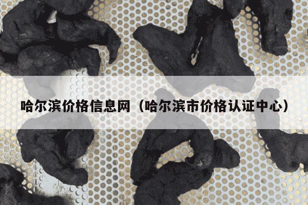 哈尔滨价格信息网（哈尔滨市价格认证中心）