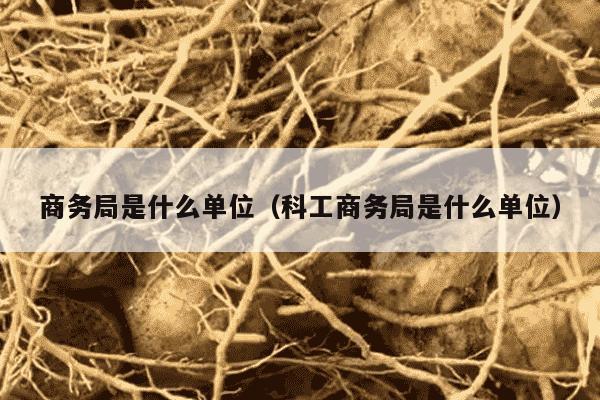 商务局是什么单位（科工商务局是什么单位）