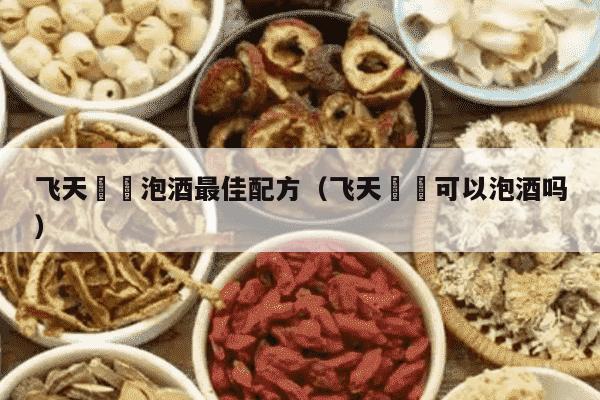 飞天蠄蟧泡酒最佳配方（飞天蠄蟧可以泡酒吗）