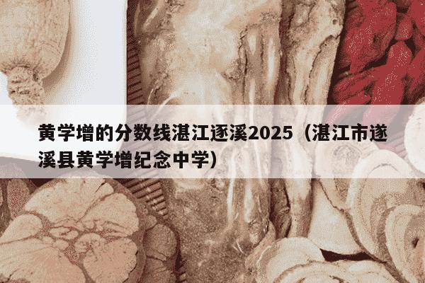 黄学增的分数线湛江逐溪2025（湛江市遂溪县黄学增纪念中学）