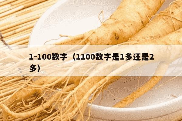 1-100数字（1100数字是1多还是2多）