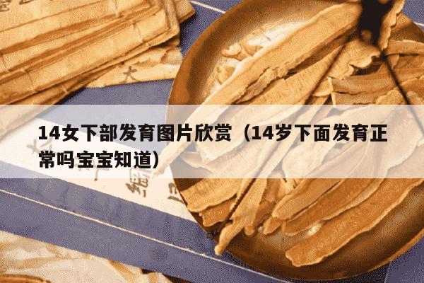 14女下部发育图片欣赏（14岁下面发育正常吗宝宝知道）