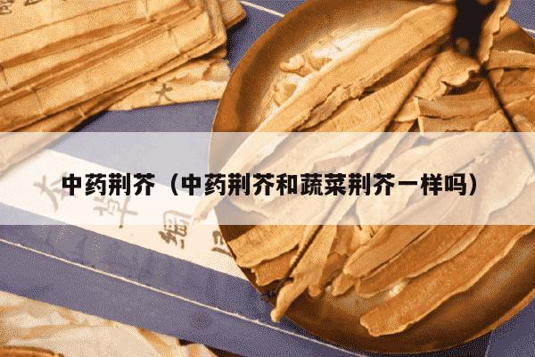 中药荆芥（中药荆芥和蔬菜荆芥一样吗）