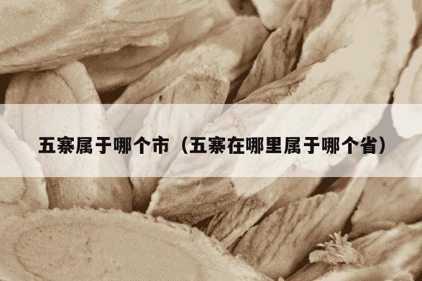 五寨属于哪个市（五寨在哪里属于哪个省）