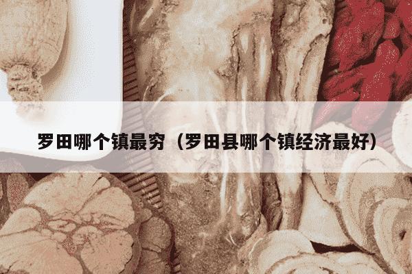 罗田哪个镇最穷（罗田县哪个镇经济最好）