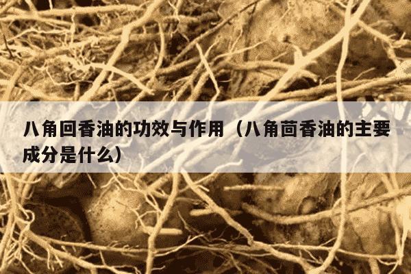 八角回香油的功效与作用（八角茴香油的主要成分是什么）