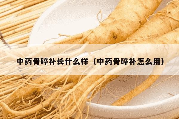 中药骨碎补长什么样（中药骨碎补怎么用）
