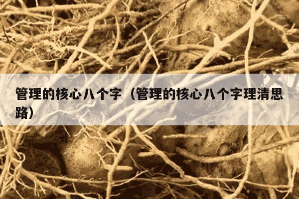 管理的核心八个字（管理的核心八个字理清思路）