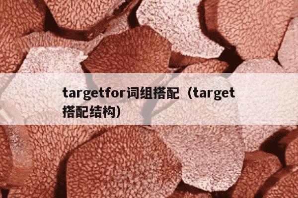 targetfor词组搭配（target搭配结构）