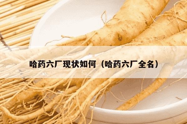 哈药六厂现状如何（哈药六厂全名）