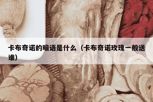 卡布奇诺的暗语是什么（卡布奇诺玫瑰一般送谁）