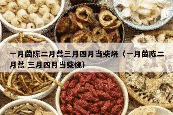 一月茵陈二月蒿三月四月当柴烧（一月茵陈二月蒿 三月四月当柴烧）