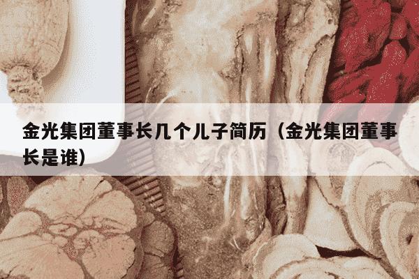 金光集团董事长几个儿子简历（金光集团董事长是谁）