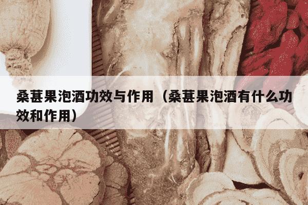 桑葚果泡酒功效与作用（桑葚果泡酒有什么功效和作用）
