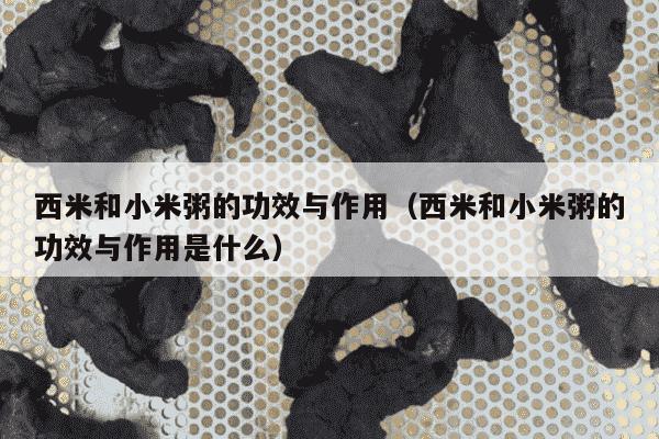 西米和小米粥的功效与作用（西米和小米粥的功效与作用是什么）