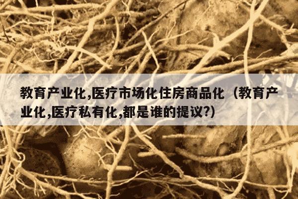教育产业化,医疗市场化住房商品化（教育产业化,医疗私有化,都是谁的提议?）