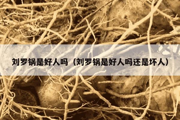 刘罗锅是好人吗（刘罗锅是好人吗还是坏人）