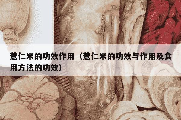 薏仁米的功效作用（薏仁米的功效与作用及食用方法的功效）