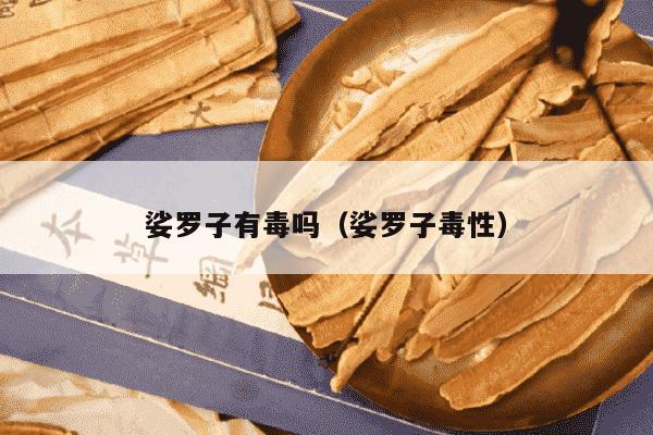 娑罗子有毒吗（娑罗子毒性）