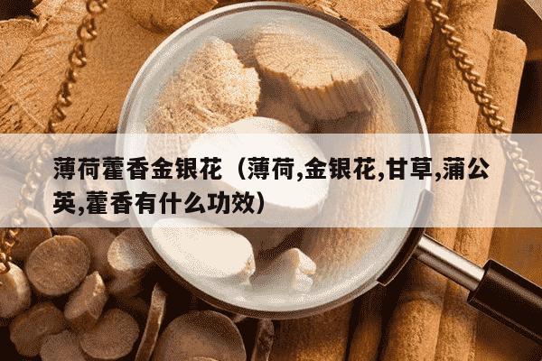 薄荷藿香金银花（薄荷,金银花,甘草,蒲公英,藿香有什么功效）