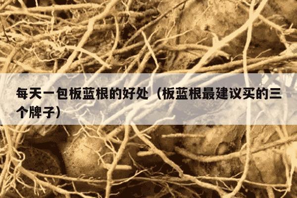 每天一包板蓝根的好处（板蓝根最建议买的三个牌子）