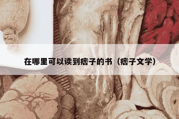 在哪里可以读到痞子的书（痞子文学）