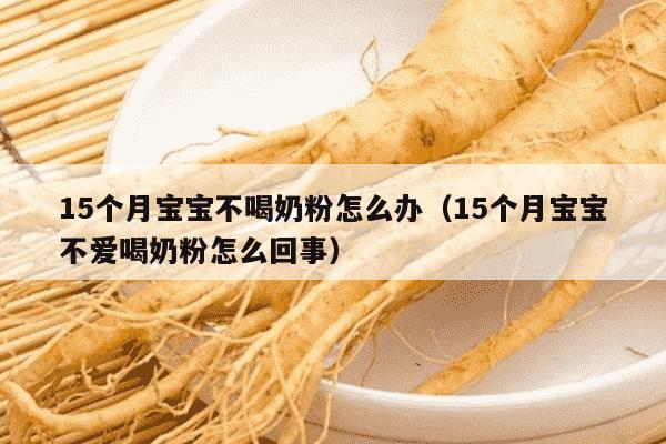 15个月宝宝不喝奶粉怎么办（15个月宝宝不爱喝奶粉怎么回事）