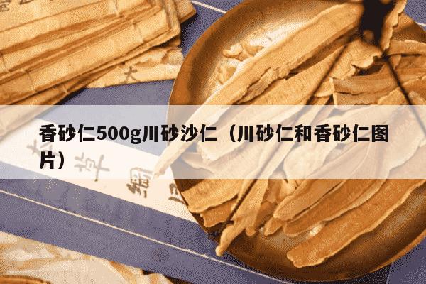 香砂仁500g川砂沙仁（川砂仁和香砂仁图片）