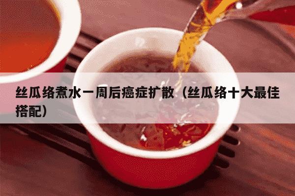 丝瓜络煮水一周后癌症扩散（丝瓜络十大最佳搭配）