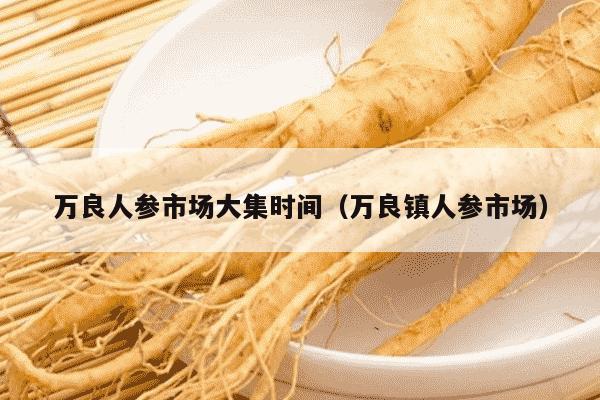 万良人参市场大集时间（万良镇人参市场）