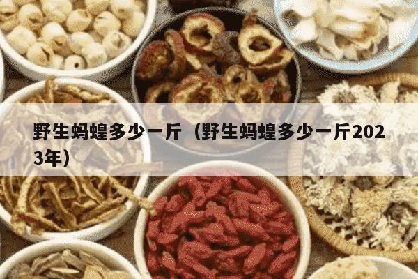 野生蚂蝗多少一斤（野生蚂蝗多少一斤2023年）