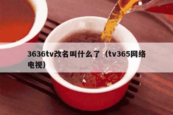 3636tv改名叫什么了（tv365网络电视）