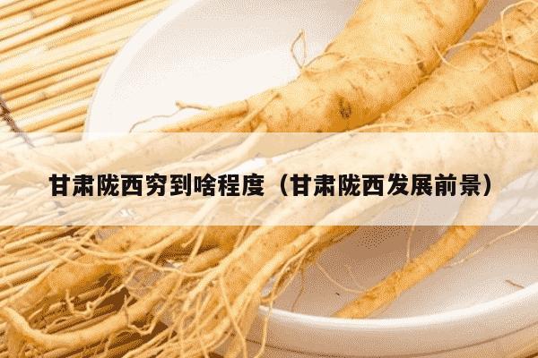 甘肃陇西穷到啥程度（甘肃陇西发展前景）