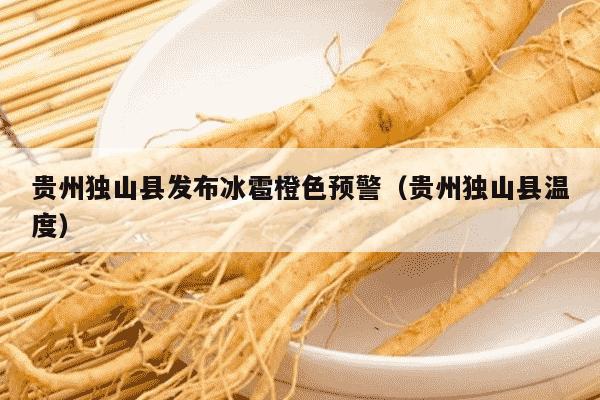 贵州独山县发布冰雹橙色预警（贵州独山县温度）