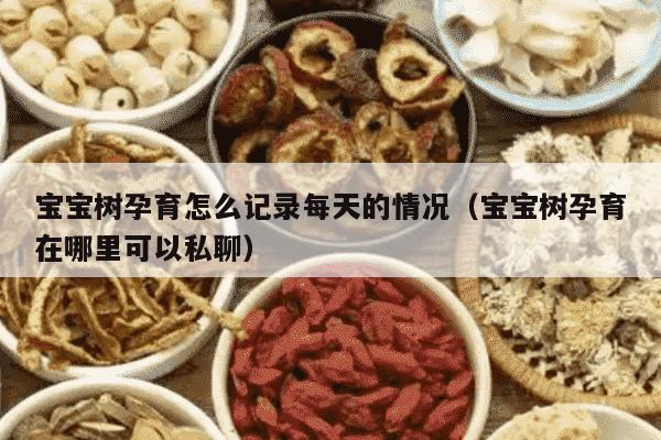 宝宝树孕育怎么记录每天的情况（宝宝树孕育在哪里可以私聊）
