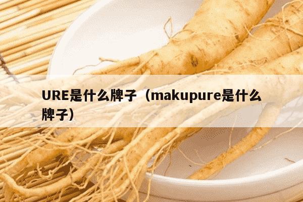 URE是什么牌子（makupure是什么牌子）