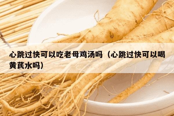 心跳过快可以吃老母鸡汤吗（心跳过快可以喝黄芪水吗）