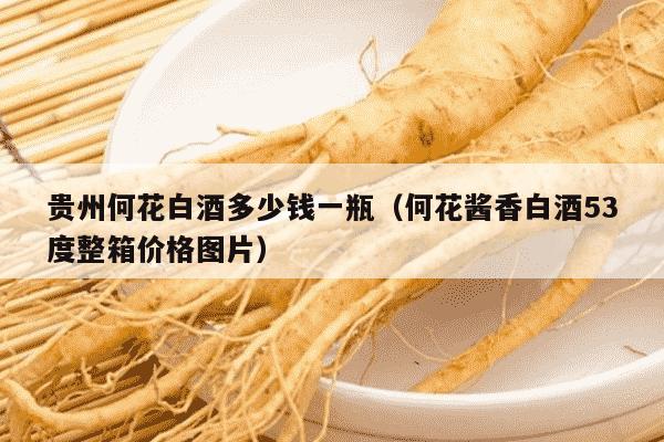 贵州何花白酒多少钱一瓶（何花酱香白酒53度整箱价格图片）