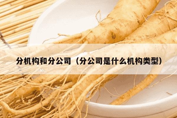 分机构和分公司（分公司是什么机构类型）